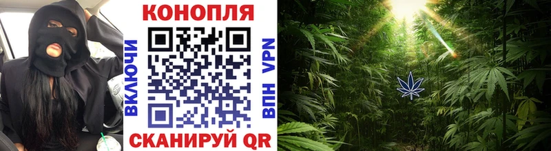 купить наркотик  Белозерск  Конопля планчик 
